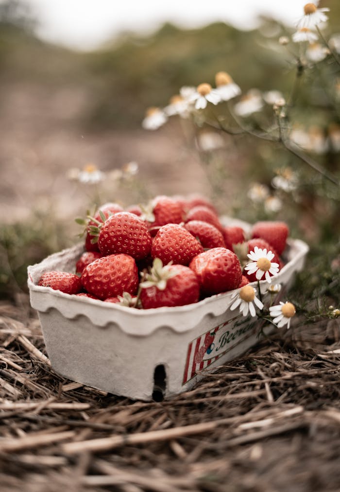 Close-up of strawberries in a paper carton surrounded by wildflowers on rustic ground.